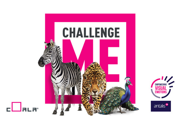 Challenge me - Coala
