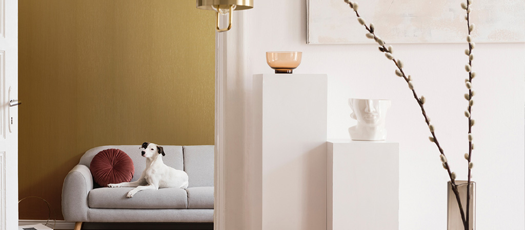 Coala interior film Banner Stahl