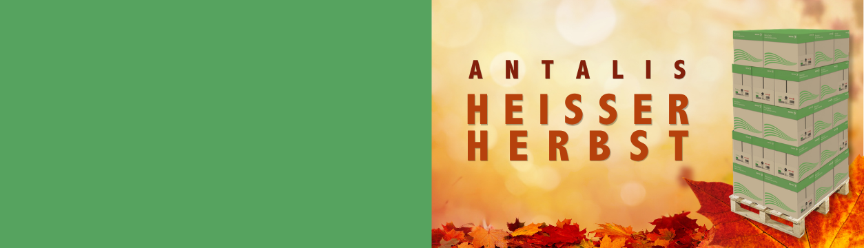Heißer Herbst Aktion - Xerox Recycled +