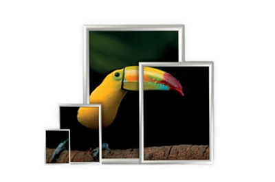 Posterframes