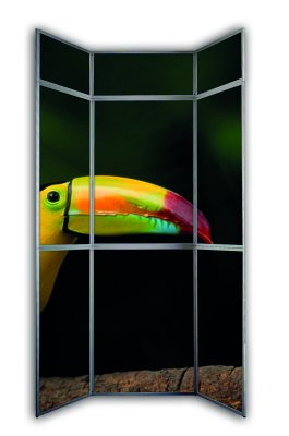 Coala Promo PANEL