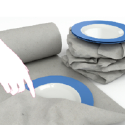 Bogus Paper