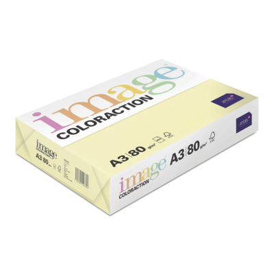 Image Coloraction