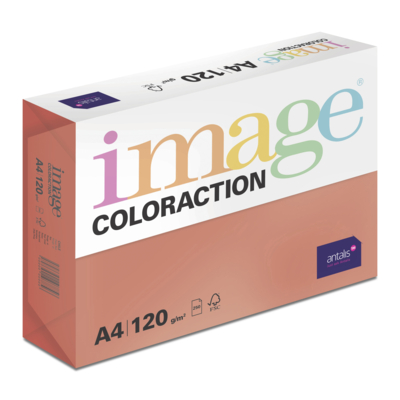 Image Coloraction