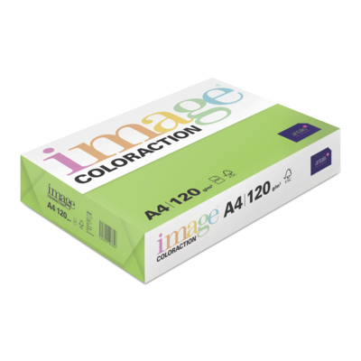 Image Coloraction