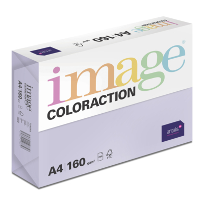 Image Coloraction