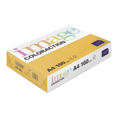 Image Coloraction