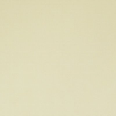 Neobond chamois