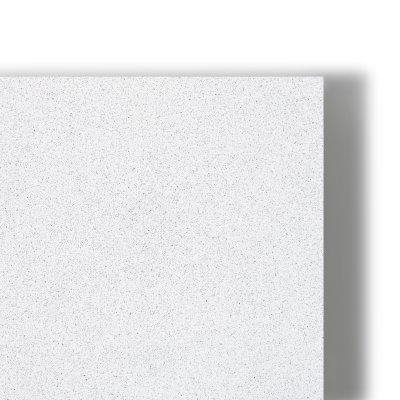 Coala Frosted