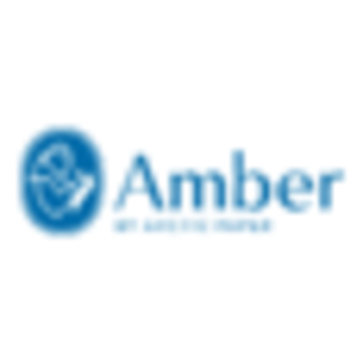 Amber Logo