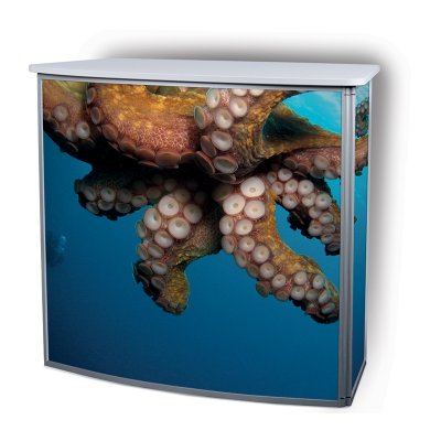 Coala Counter Curved