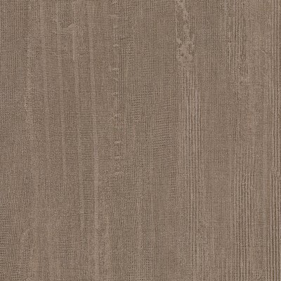 Coala Interior Film Wood