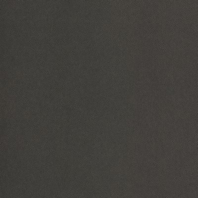 Coala Interior Film Leather