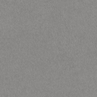 Coala Interior Film Leather