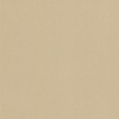Coala Interior Film Leather
