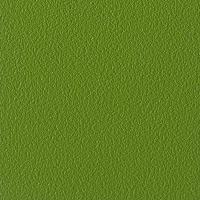 Coala Interior Film Color