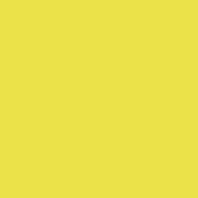 Coala Interior Film Color