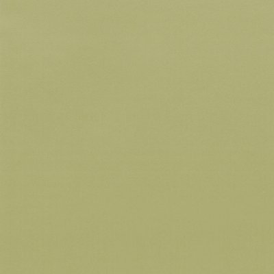 Coala Interior Film Color