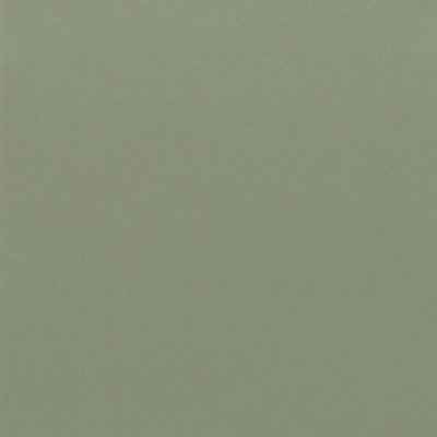 Coala Interior Film Color