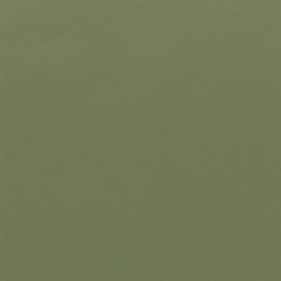 Coala Interior Film Color