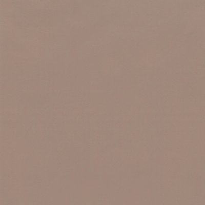 Coala Interior Film Color