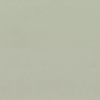 Coala Interior Film Color