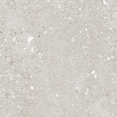 Coala Interior Film Stone