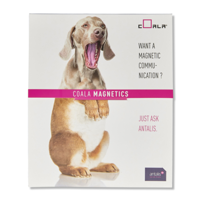 Coala Magnetic Film