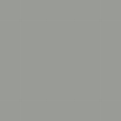 Intercoat 9913 grüngrau