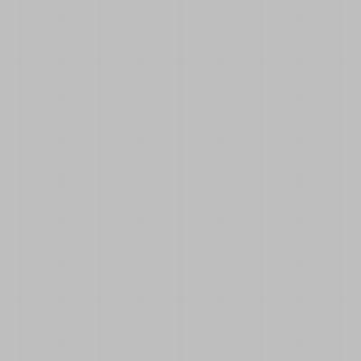 Intercoat 9994 silber metallic