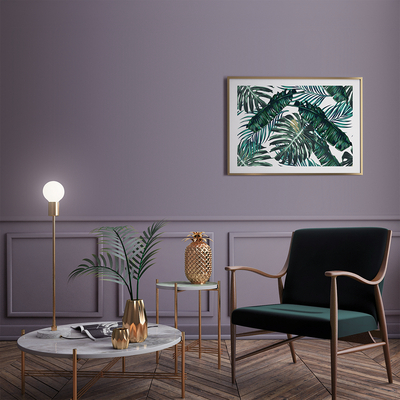 Coala Interior Film Color