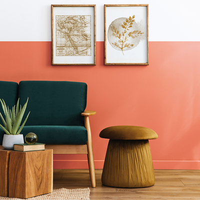 Coala Interior Film Color
