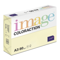 Image Coloraction