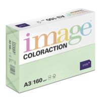 Image Coloraction