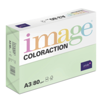 Image Coloraction