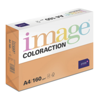Image Coloraction