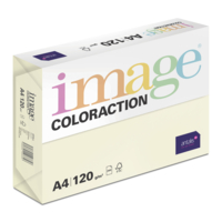 Image Coloraction