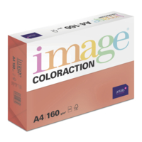Image Coloraction