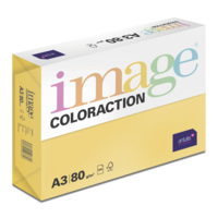 Image Coloraction