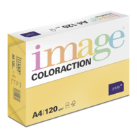 Image Coloraction