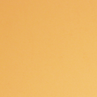 Neobond orange