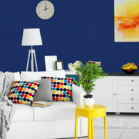 Coala Interior Film Color