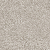 Coala Interior Film Concrete
