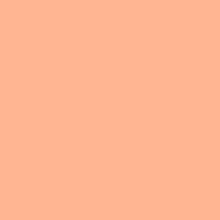 Coala Interior Film Color