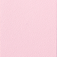 Coala Interior Film Color