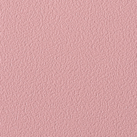 Coala Interior Film Color
