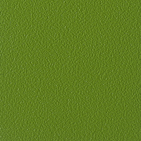 Coala Interior Film Color