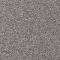 Coala Interior Film Color