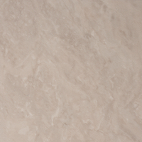 Coala Interior Film Marble