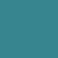 Coala Interior Film Color